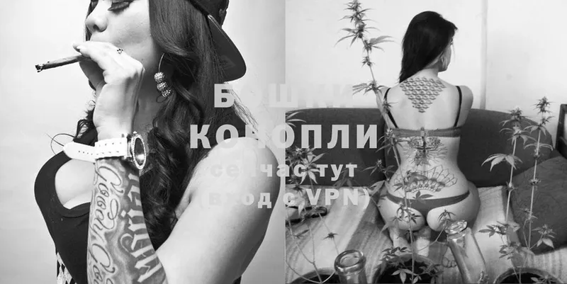 Конопля SATIVA & INDICA  Кедровый 